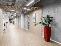 簡約風(fēng)格辦公室裝修裝飾設(shè)計效果-第1537期